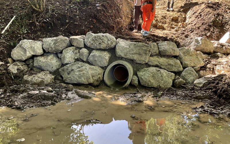 Borex – Le Nant des Dappes10