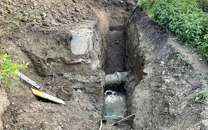 Borex – Le Nant des Dappes8