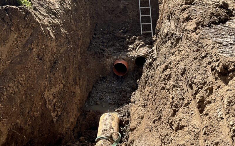 Borex – Le Nant des Dappes9