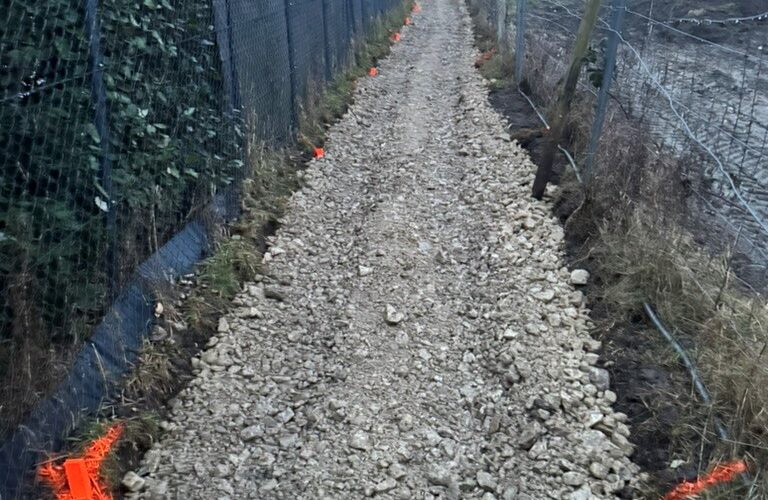 Trélex – Cheminement piétonnier travaux routiers2